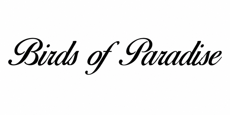Birds of Paradise font