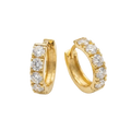 Diamond Hoop LG Earring